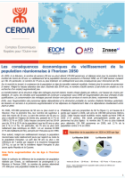 Les conséquences économiques du vieillissement de la population réunionnaise à l’horizon 2050